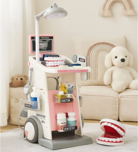 Model čeljusti i bogat pribor