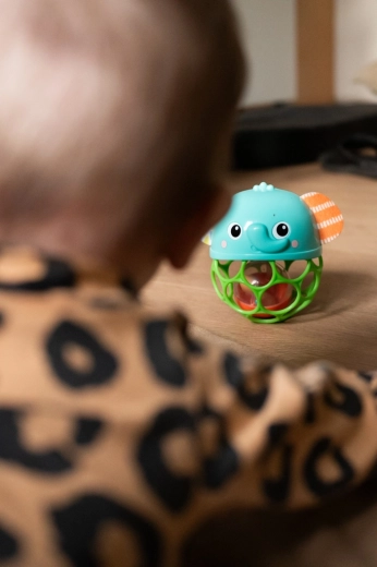 Svjetla i hihot za osjetilnu zabavu