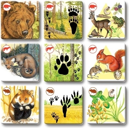 Prekrasne ilustracije koje privlače pažnju