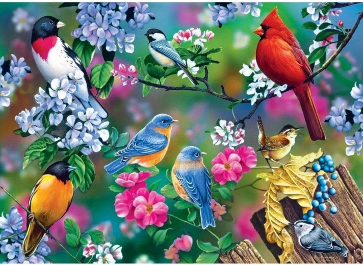 Masterpieces puzzle Audubon kolaž ptica pjevica 1000 dijelova