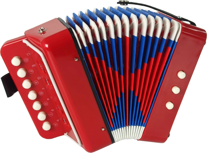 A real accordion experience for children
