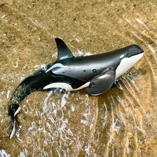 Suitable for water play too