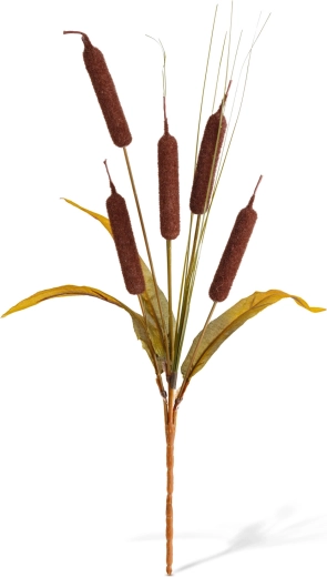 Natural look for autumn decoration