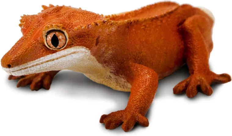 Realistic details and faithful coloring