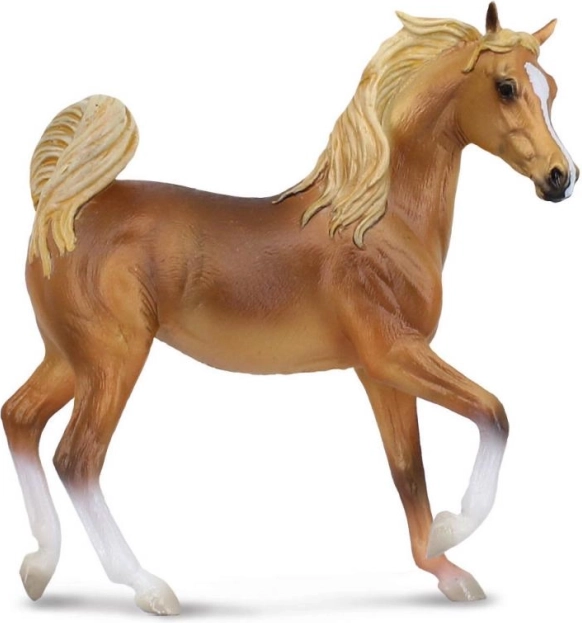 Collecta arapska kobila – dorat