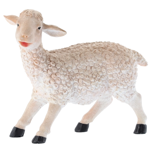 Svestrana upotreba za dekoracije i obrazovanje