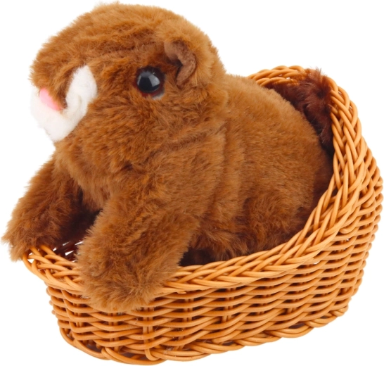 Mekan, siguran i izdržljiv pliš