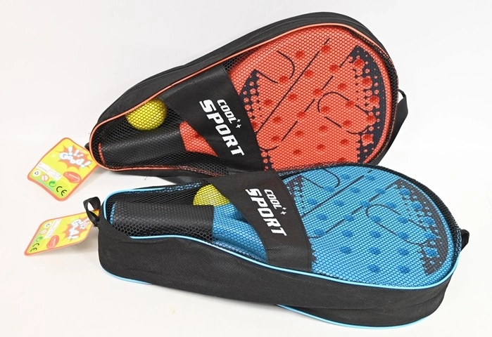 Beach paddle with ball in a case