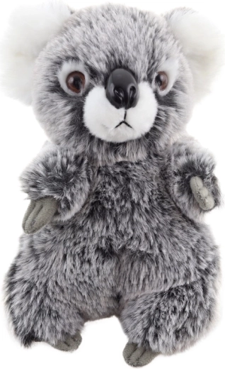 Sigurno od rođenja (0+)