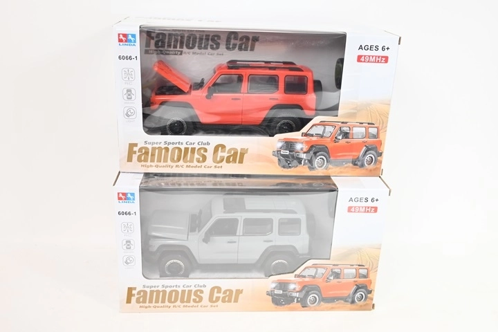 Terensko RC auto na daljinsko upravljanje s baterijom u pakiranju