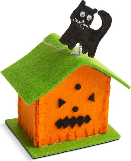 Ghost or black cat on the roof