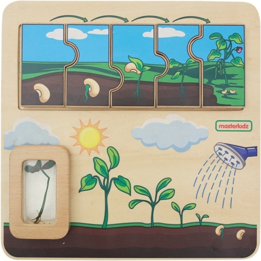 Masterkidz wooden educational board – bean life cycle