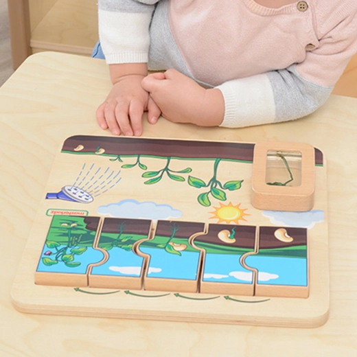 Assembling the life cycle step by step