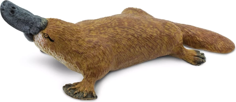Safari Ltd. čudnovati kljunaš - 1 komad