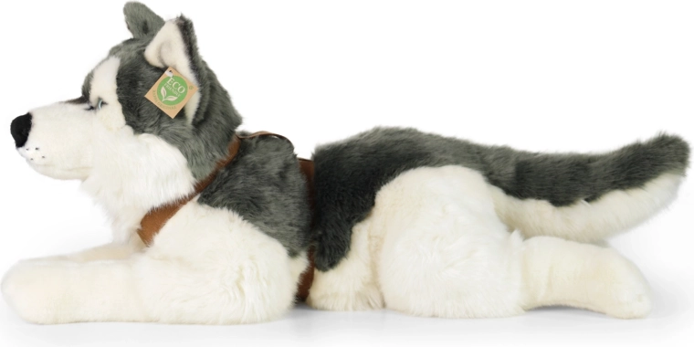 Realistic husky appearance