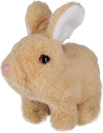 Slatki pokreti i zvukovi