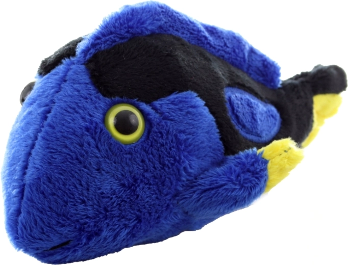 Žive boje koje privlače pažnju