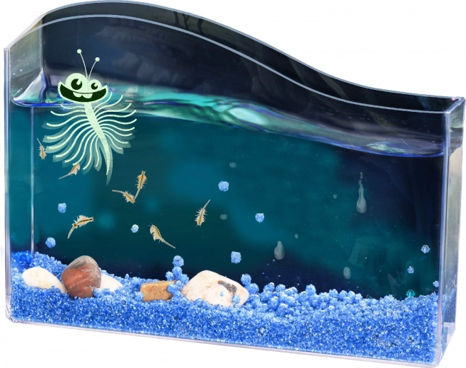 Kosmos vodeni ljubimac – početni set za račiće Artemia