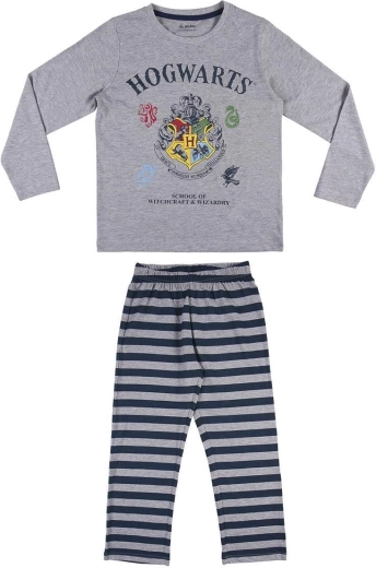 Hogwarts design for Harry Potter fans