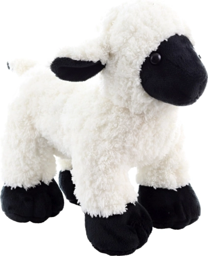 Eco-friendly materijali