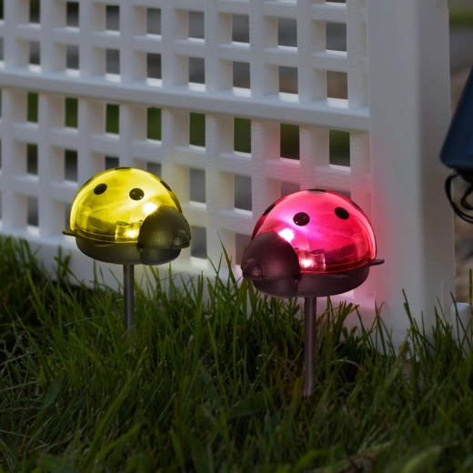 Solar LED Garden Ladybug Lamp with Cool White Light - 1 Piece
