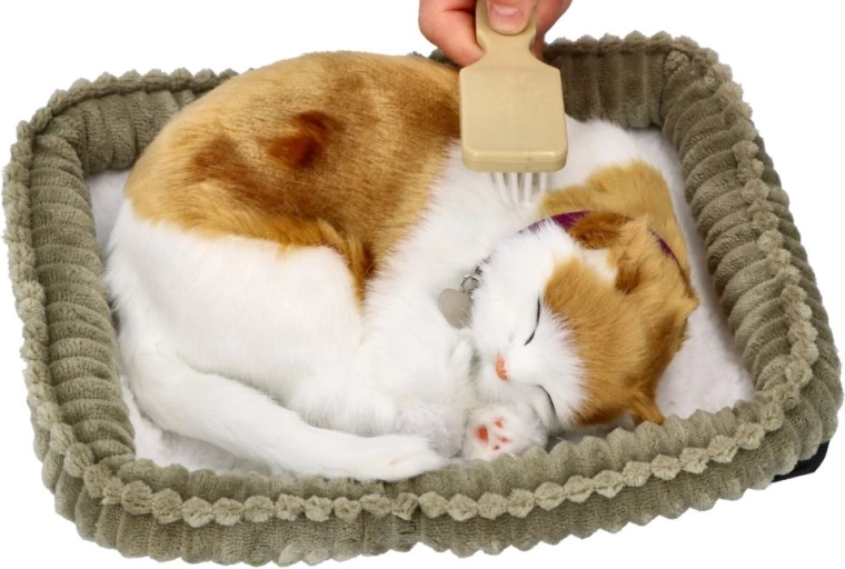Realistic appearance of a sleeping cat