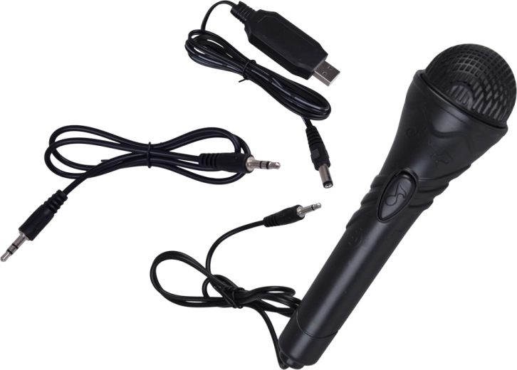 Karaoke i kućni koncerti