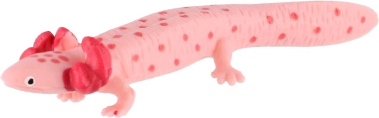 Typical axolotl appearance