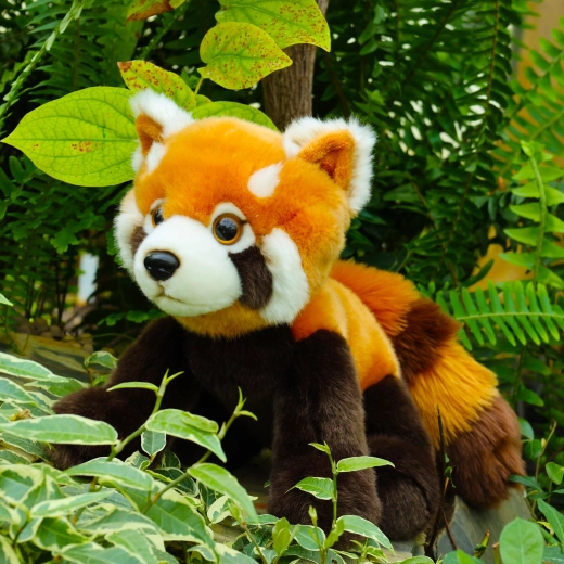 Realistični detalji crvene pande