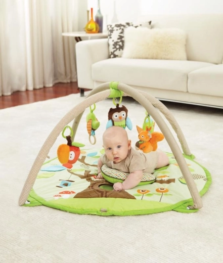 Adjustable gym with 13 loops