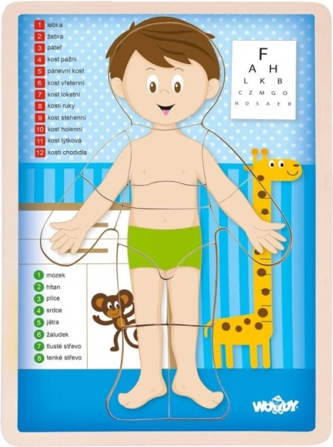Woody dvostrana slagalica Ljudsko tijelo - dječak