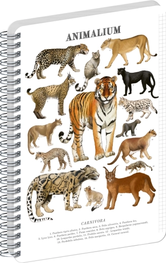 Notique spiralni blok Animalium – mačje zvijeri A4, kvadratići