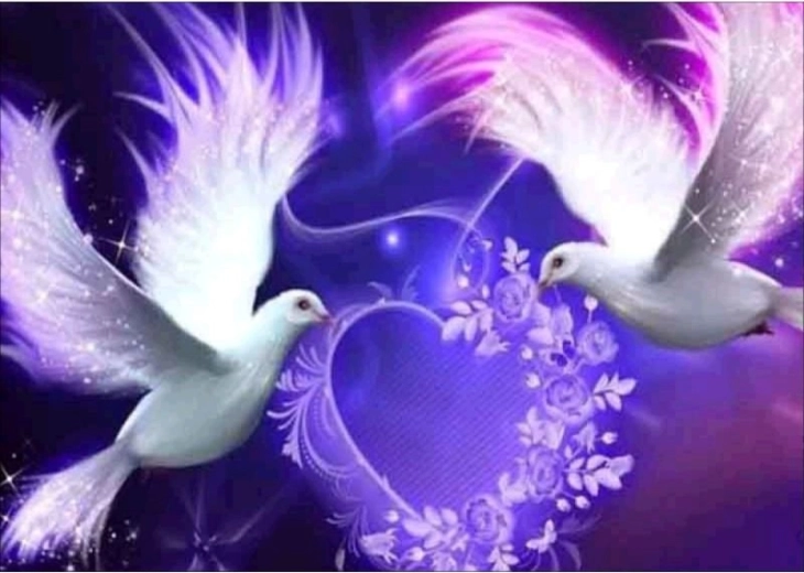 Diamond embroidery (diamond painting) two doves – heart 40 × 30 cm