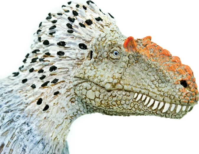 Eye-catching head details and “feathering”