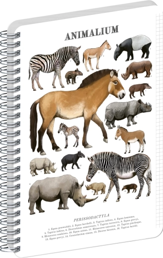 Notique spiralni blok Animalium – neparnoprstaši, A4, na kvadratiće