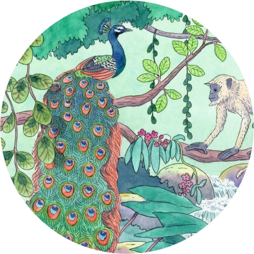 Živopisna ilustracija puna boja