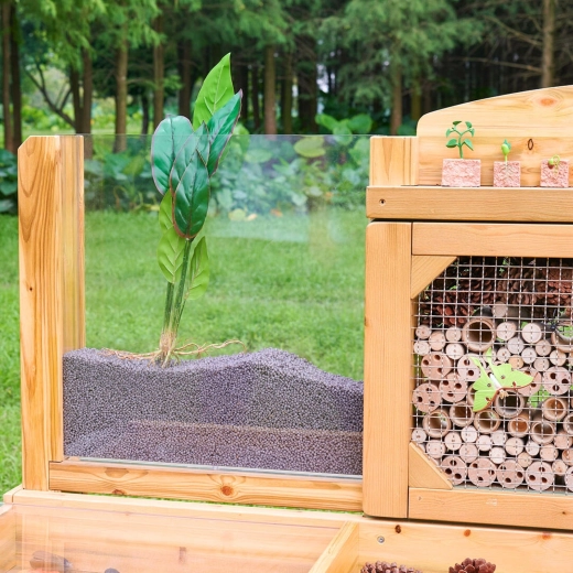 Korijenski panel: pratite rast biljaka u stvarnom vremenu