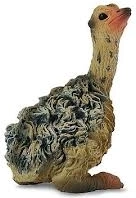 Pernata ptica sjedećeg modela Collecta
