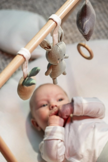 Lullaby and rattle for sensory perception