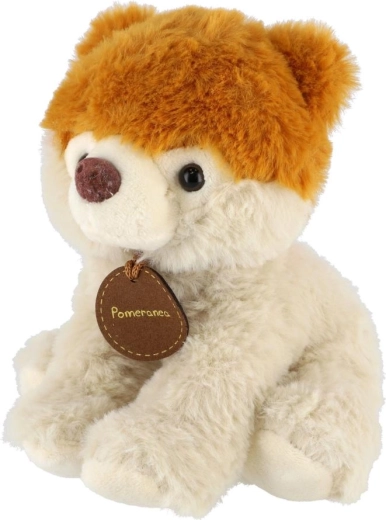 Raznolik mix vrsta u pakiranju od 10 kom