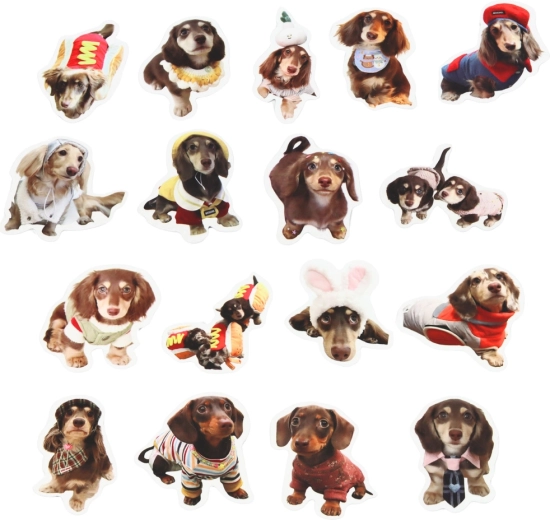 Idealna veličina 5 cm za dekoriranje