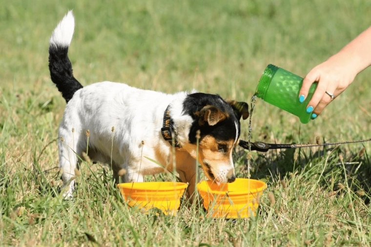 Hidratacija i hranjenje bilo gdje zahvaljujući 2u1
