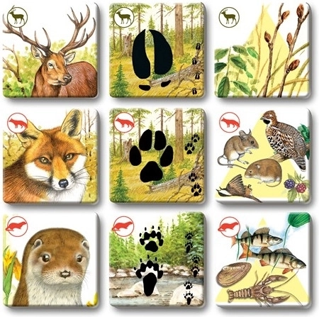 Izdržljive kartice za često igranje