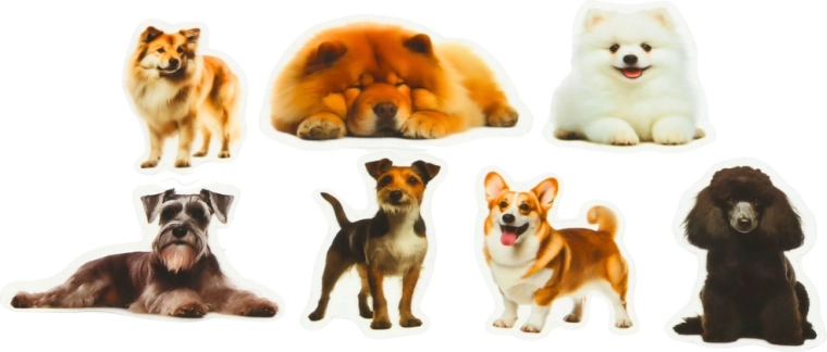 Prozirna pozadina za čist izgled