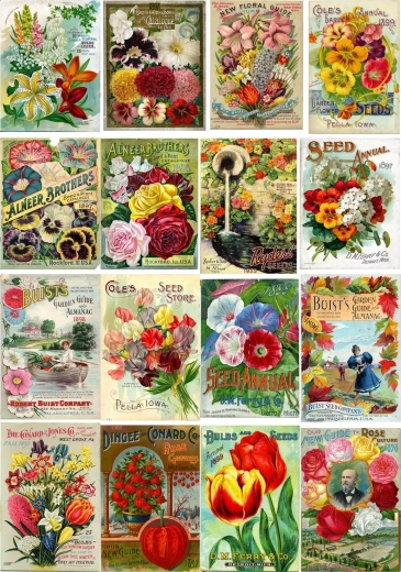 Enjoy puzzle vintage paketići cvjetnog sjemena 1000 dijelova