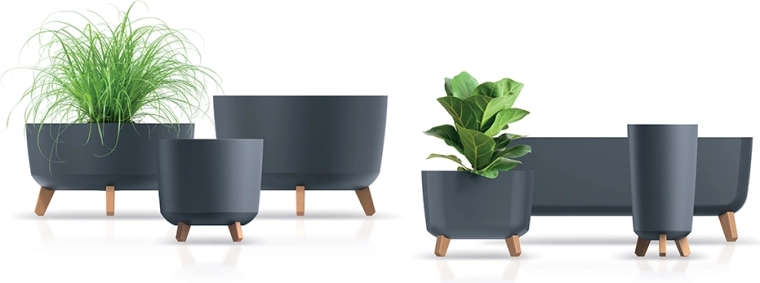 Bolji uvjeti za korijenje