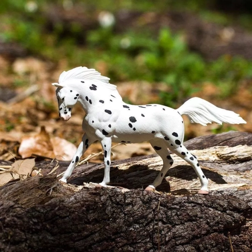 Ideal for play, learning and collecting