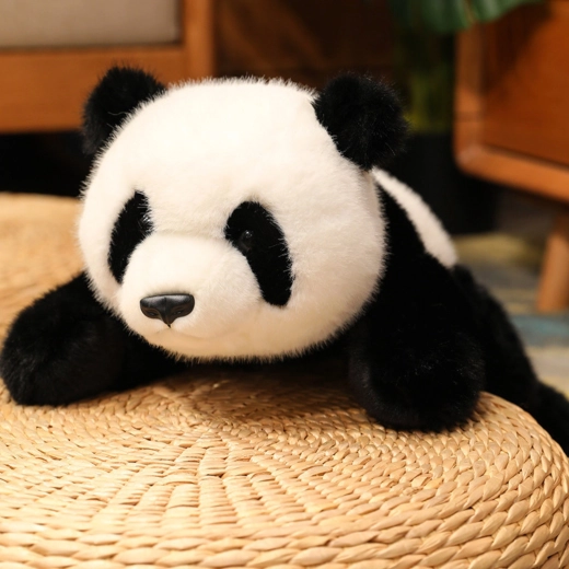 Soft sensory companion
