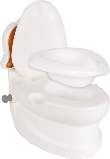 Flushing sound and LED light