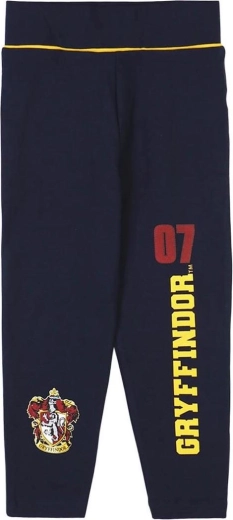 Harry Potter Dark Blue Leggings